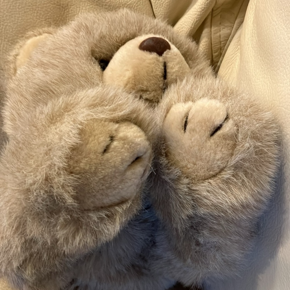 Adorable Beige Plush Teddy Bear - Picture 7 of 7
